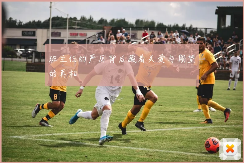 班主任的严厉背后藏着关爱与期望的真相